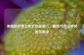 美国拟对非公民汇款征税5%，数百万合法移民首当其冲