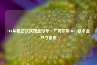 TCL华星首次实现全球单一厂商印刷OLED技术全尺寸覆盖