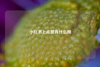 小红书上点赞有什么用