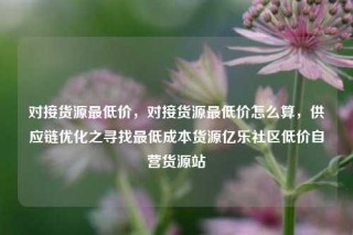 对接货源最低价，对接货源最低价怎么算，供应链优化之寻找最低成本货源亿乐社区低价自营货源站