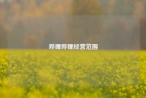 哔哩哔哩经营范围