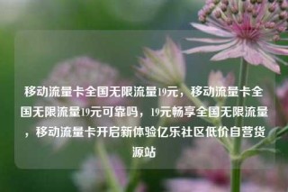 移动流量卡全国无限流量19元，移动流量卡全国无限流量19元可靠吗，19元畅享全国无限流量，移动流量卡开启新体验亿乐社区低价自营货源站