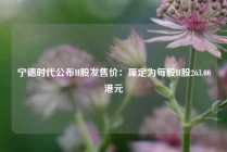 宁德时代公布H股发售价：厘定为每股H股263.00港元
