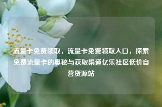 流量卡免费领取，流量卡免费领取入口，探索免费流量卡的奥秘与获取渠道亿乐社区低价自营货源站
