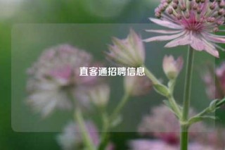 直客通招聘信息