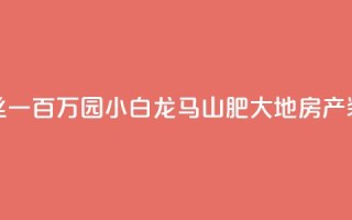 快手粉丝一百万0.01园小白龙马山肥大地房产装修网站,快手点赞购买网站平台 - 抖音投放24小时好还是12小时 - 卡盟ks在线自助下单低价