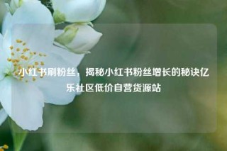 小红书刷粉丝，揭秘小红书粉丝增长的秘诀亿乐社区低价自营货源站