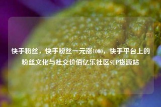 快手粉丝，快手粉丝一元涨1000，快手平台上的粉丝文化与社交价值亿乐社区SUP货源站