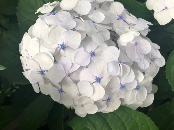 花开之处，便是故地  第29张