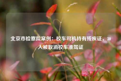 北京市检察院案例：校车司机持有残疾证，30人被取消校车准驾证  第1张