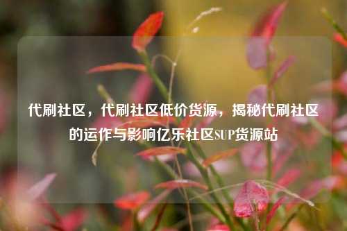 代刷社区	，代刷社区低价货源，揭秘代刷社区的运作与影响亿乐社区SUP货源站  第1张