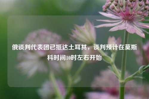 俄谈判代表团已抵达土耳其，谈判预计在莫斯科时间10时左右开始  第1张