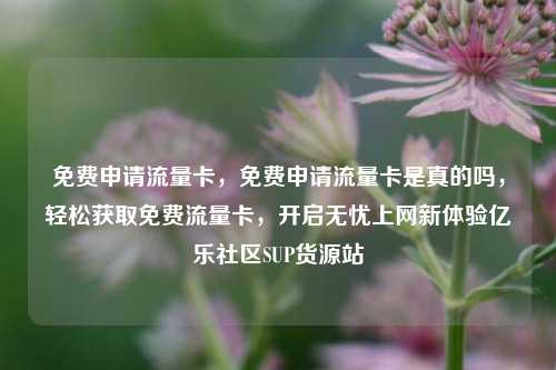 免费申请流量卡	，免费申请流量卡是真的吗，轻松获取免费流量卡，开启无忧上网新体验亿乐社区SUP货源站  第1张