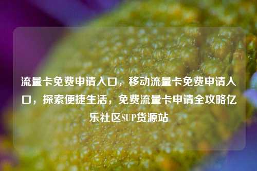 流量卡免费申请入口	，移动流量卡免费申请入口，探索便捷生活，免费流量卡申请全攻略亿乐社区SUP货源站  第1张