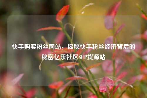 快手购买粉丝网站，揭秘快手粉丝经济背后的秘密亿乐社区SUP货源站  第1张