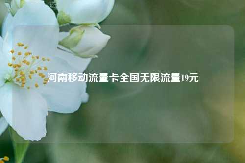河南移动流量卡全国无限流量19元  第1张