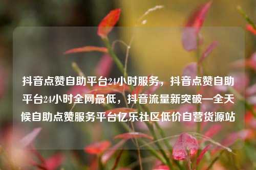 抖音点赞自助平台24小时服务，抖音点赞自助平台24小时全网最低，抖音流量新突破—全天候自助点赞服务平台亿乐社区低价自营货源站  第1张