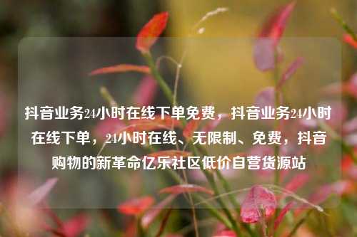 抖音业务24小时在线下单免费，抖音业务24小时在线下单，24小时在线	、无限制、免费	，抖音购物的新革命亿乐社区低价自营货源站  第1张