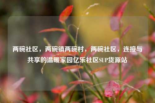 两碗社区	，两碗镇两碗村，两碗社区，连接与共享的温暖家园亿乐社区SUP货源站  第1张