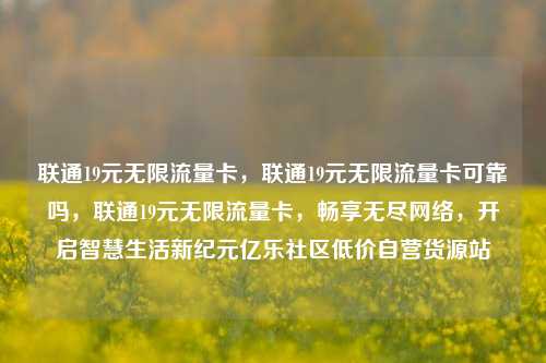 联通19元无限流量卡，联通19元无限流量卡可靠吗	，联通19元无限流量卡，畅享无尽网络，开启智慧生活新纪元亿乐社区低价自营货源站  第1张