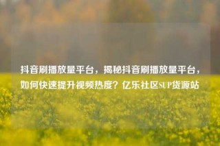 抖音刷播放量平台，揭秘抖音刷播放量平台，如何快速提升视频热度？亿乐社区SUP货源站
