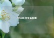 快手粉丝业务在哪