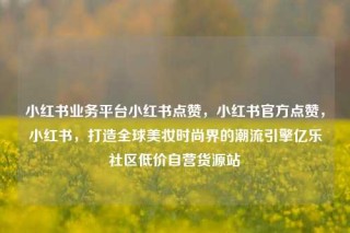 小红书业务平台小红书点赞，小红书官方点赞，小红书，打造全球美妆时尚界的潮流引擎亿乐社区低价自营货源站