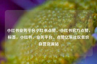 小红书业务平台小红书点赞，小红书官方点赞，标签，小红书、业务平台、点赞亿乐社区低价自营货源站