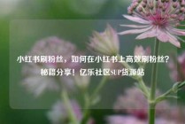 小红书刷粉丝，如何在小红书上高效刷粉丝？秘籍分享！亿乐社区SUP货源站