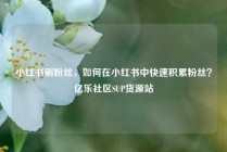 小红书刷粉丝，如何在小红书中快速积累粉丝？亿乐社区SUP货源站