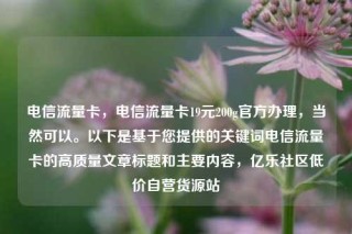 电信流量卡，电信流量卡19元200g官方办理，当然可以。以下是基于您提供的关键词电信流量卡的高质量文章标题和主要内容，亿乐社区低价自营货源站