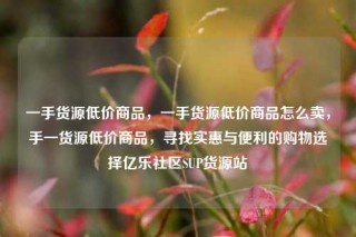 一手货源低价商品，一手货源低价商品怎么卖，手一货源低价商品，寻找实惠与便利的购物选择亿乐社区SUP货源站