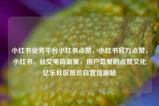 小红书业务平台小红书点赞，小红书官方点赞，小红书，社交电商新星，用户喜爱的点赞文化亿乐社区低价自营货源站