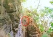 山西晋城一网红徒步野游线路据传发生驴友坠崖，当地已宣布封路