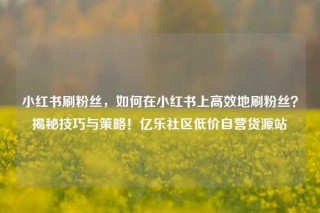 小红书刷粉丝，如何在小红书上高效地刷粉丝？揭秘技巧与策略！亿乐社区低价自营货源站