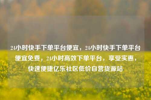 24小时快手下单平台便宜，24小时快手下单平台便宜免费，24小时高效下单平台，享受实惠	，快速便捷亿乐社区低价自营货源站  第1张