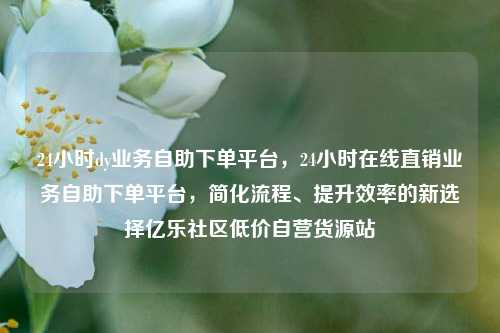 24小时dy业务自助下单平台，24小时在线直销业务自助下单平台	，简化流程、提升效率的新选择亿乐社区低价自营货源站  第1张