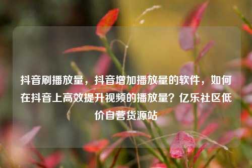 抖音刷播放量，抖音增加播放量的软件，如何在抖音上高效提升视频的播放量？亿乐社区低价自营货源站  第1张