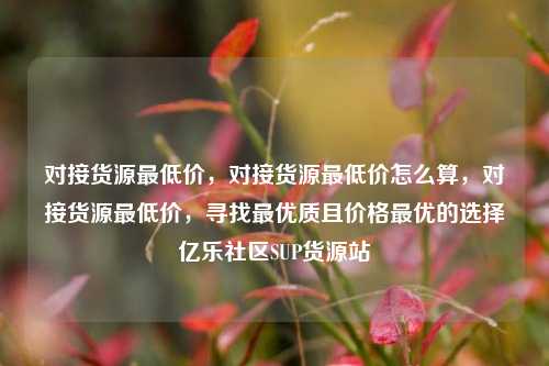 对接货源最低价，对接货源最低价怎么算，对接货源最低价，寻找最优质且价格最优的选择亿乐社区SUP货源站  第1张