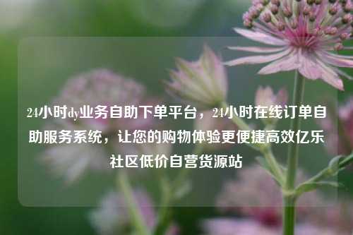 24小时dy业务自助下单平台，24小时在线订单自助服务系统	，让您的购物体验更便捷高效亿乐社区低价自营货源站  第1张