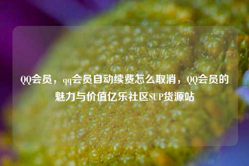 QQ会员	，qq会员自动续费怎么取消，QQ会员的魅力与价值亿乐社区SUP货源站  第1张