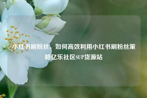 小红书刷粉丝	，如何高效利用小红书刷粉丝策略亿乐社区SUP货源站  第1张