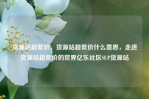 货源站超低价，货源站超低价什么意思，走进货源站超低价的世界亿乐社区SUP货源站  第1张