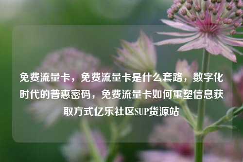 免费流量卡，免费流量卡是什么套路，数字化时代的普惠密码	，免费流量卡如何重塑信息获取方式亿乐社区SUP货源站  第1张